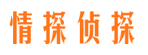 柳北市婚外情调查